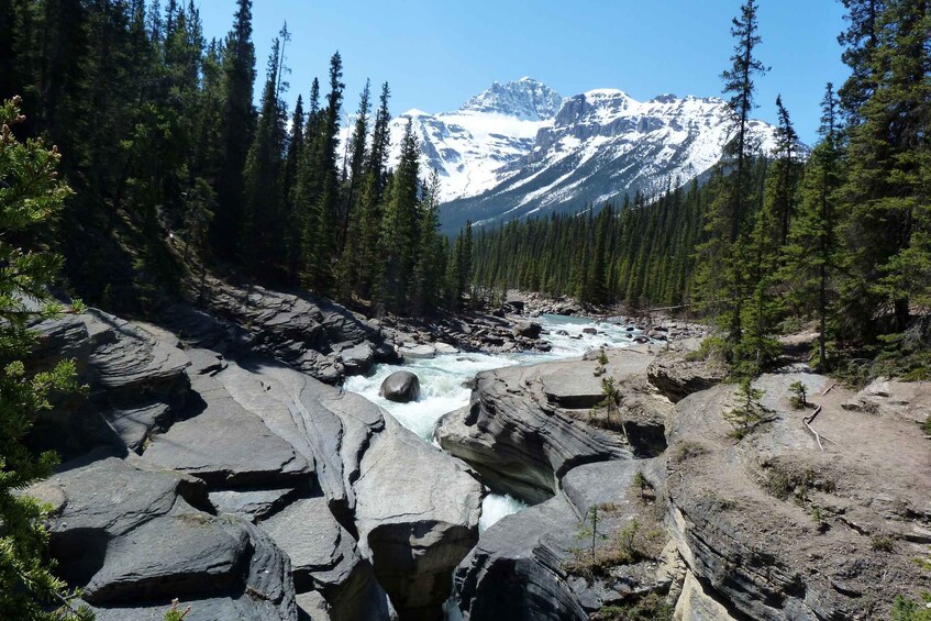 Picture 5 for Activity Banff: Experience the Iconic Moraine, Louise & Peyto Lakes