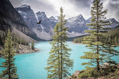 Banff: Experience Moraine, Louise & Peyto Lakes (2 Days)