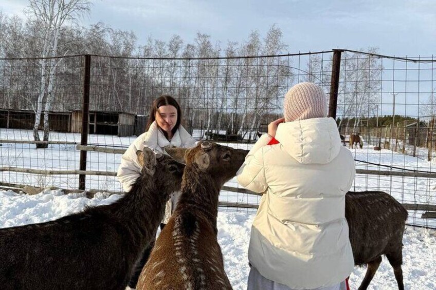 Authentic Burabay Embrace Nature, Wine, Cheese, and Local Life