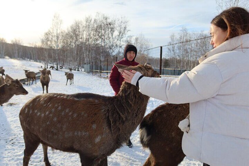 Authentic Burabay Embrace Nature, Wine, Cheese, and Local Life