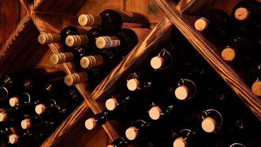 Authentic Burabay Embrace Nature, Wine, Cheese, and Local Life