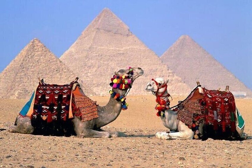 Pyramids and Museum Small Group Tour by Van From Hurghada