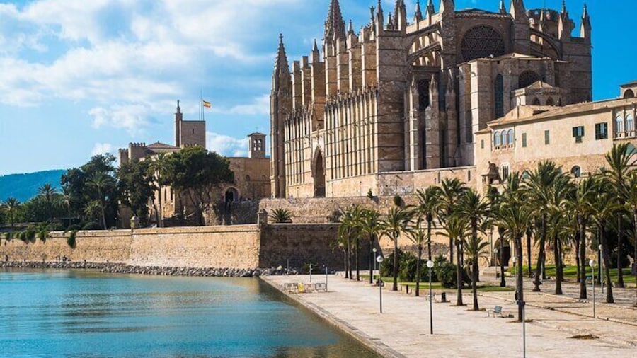 Palma de Mallorca: Small-Group Tour & Fast-Track Cathedral