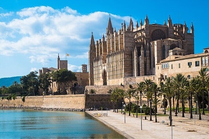 Palma de Mallorca: Small-Group Tour & Fast-Track Cathedral