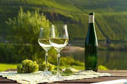 Private Wine Tasting Tour in Munich with a Wine Expert