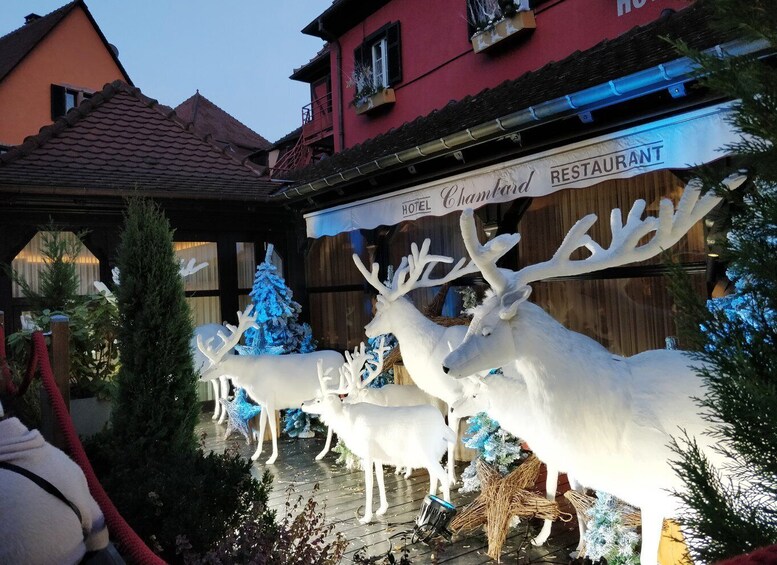 Picture 1 for Activity Enchanting Christmas Experience From Colmar