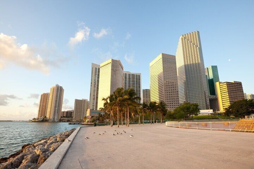 Miami Downtown Highlights Private Guided Walking Tour