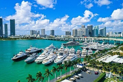 Visite du centre-ville de Miami avec billets de croisière Millionaire’s Row