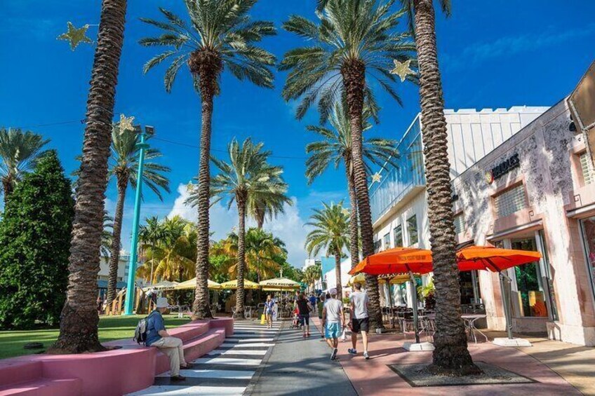Jewish Sites Miami History Private Guided Walking Tour 