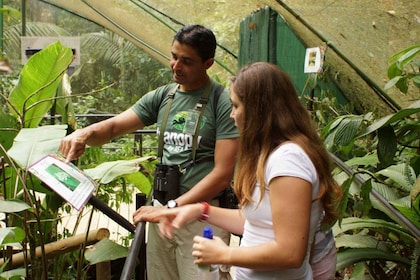 Fottur hos Rainforest Adventures Costa Rica Braulio Carrillo