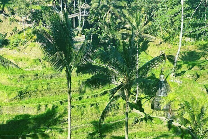 Bali Lempuyang Temple, Water Palace, and Waterfall Tour