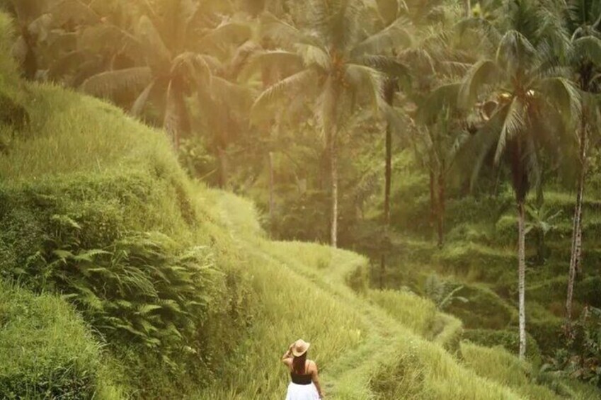 Bali Lempuyang Temple, Water Palace, and Waterfall Tour
