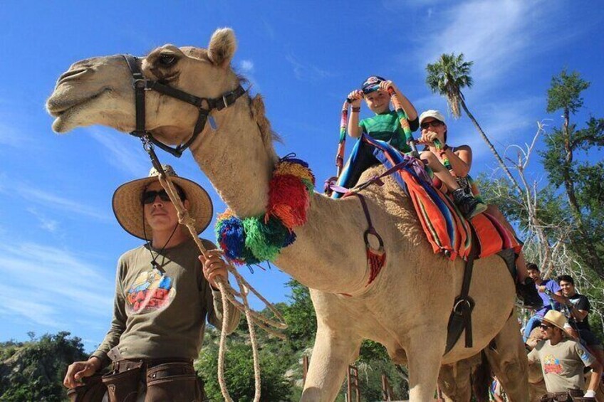 Shared Camel Riding, Jet Skiing and Quad Biking