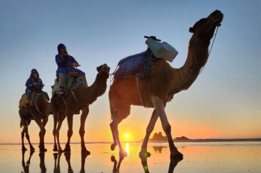 Shared Camel Riding, Jet Skiing and Quad Biking