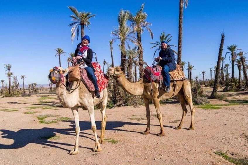 Shared Camel Riding, Jet Skiing and Quad Biking