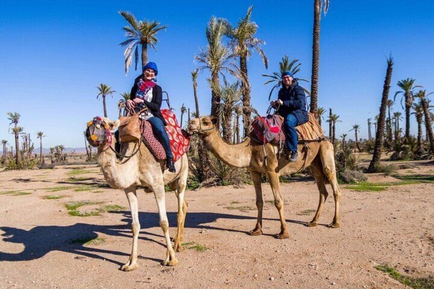 Shared Camel Riding, Jet Skiing and Quad Biking