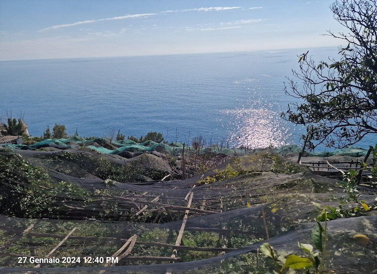 Picture 5 for Activity Lemon Path - Amalfi coast