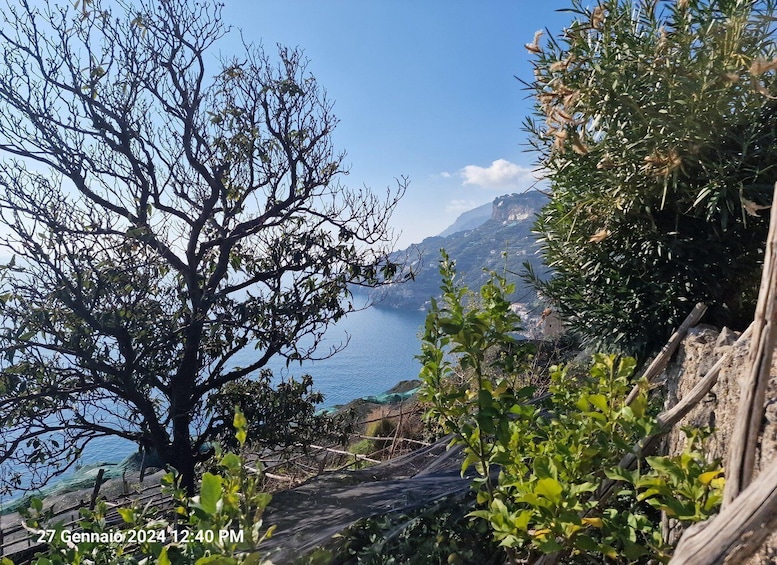 Picture 3 for Activity Lemon Path - Amalfi coast