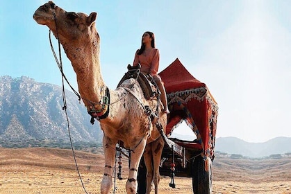 Jaipur to Pushkar Day Trip with Camel Safari and Sunset