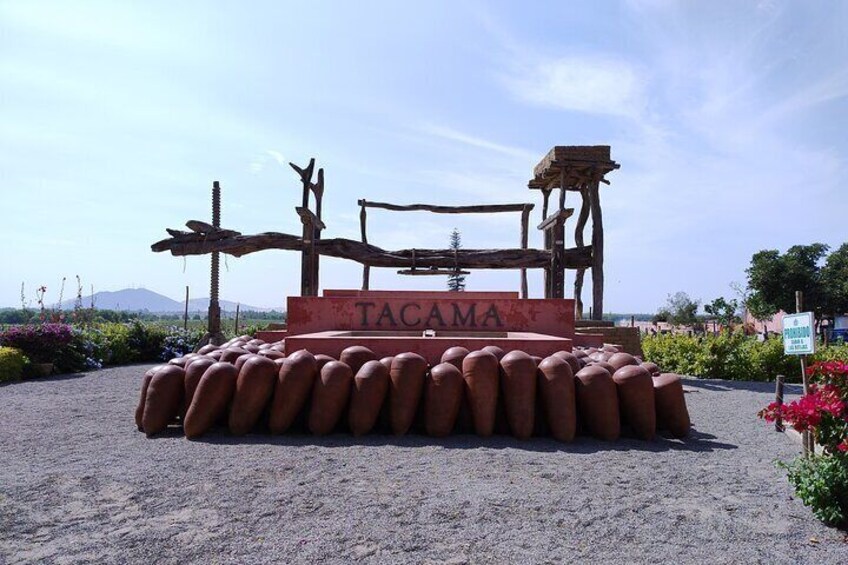 Pisco and Buggy Wine Tour in Huacachina
