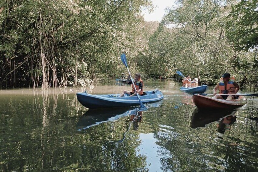 kayaking Bali mangrove