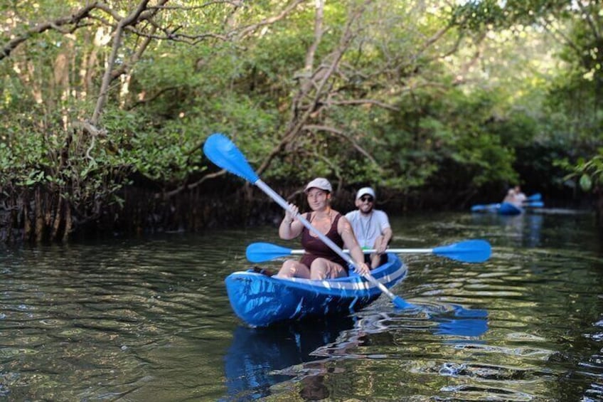 kayaking Bali mangrove