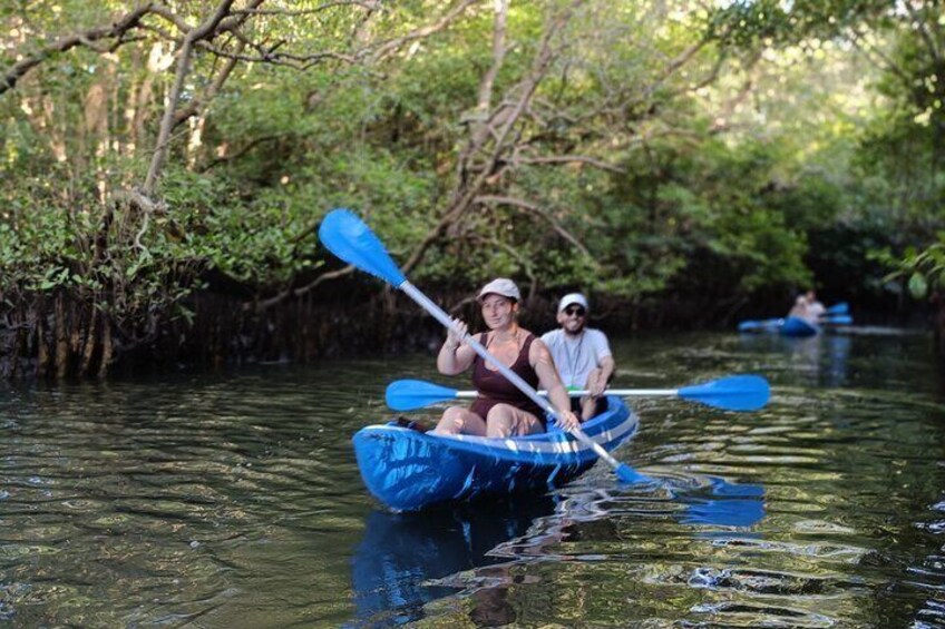 kayaking Bali mangrove
