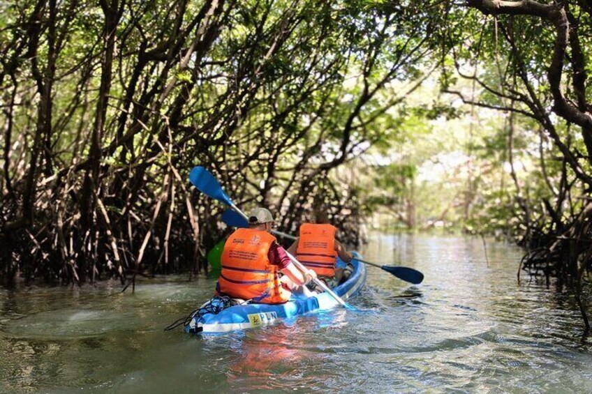 kayaking Bali mangrove