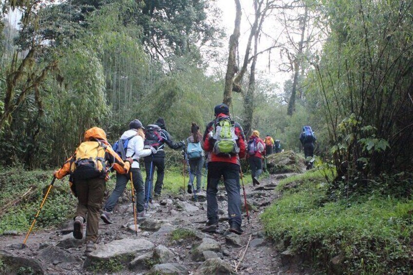 One Day Hiking from Kathmandu to Jamacho Gumba and Monastry