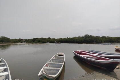 Fisherman's Island in the Mangroves in Canoe