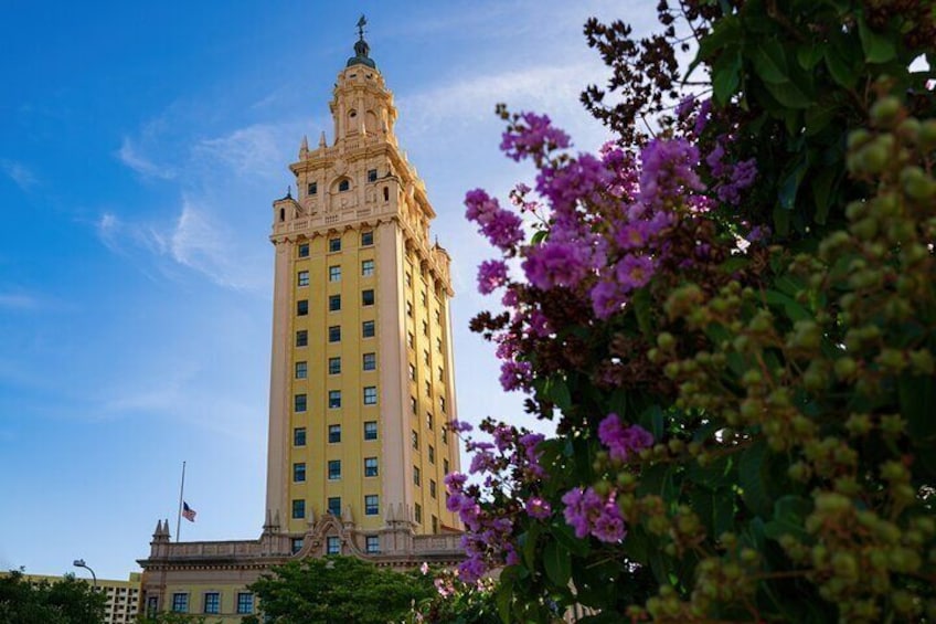 Shore Excursion from Port of Miami City and Cruise Tour