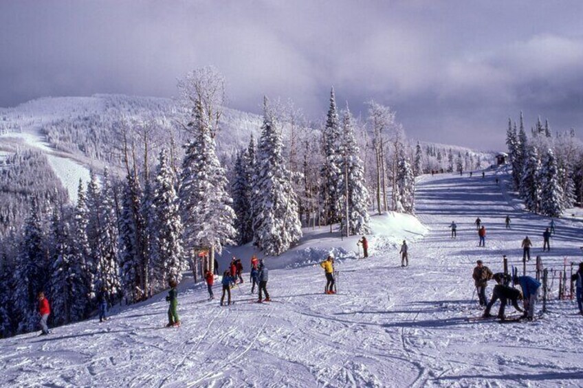 Ski Adventures Tour in a winter getaway