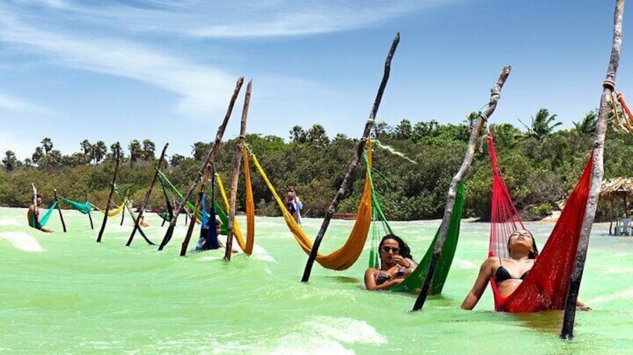 Lagoon in the dunes