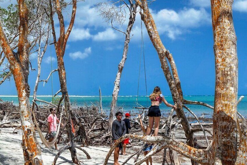 Raises of Mangue - Guriú