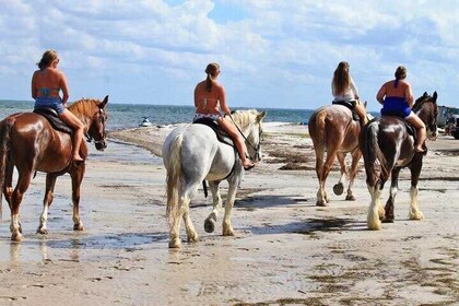 Cape Town Beach Horseback Ride