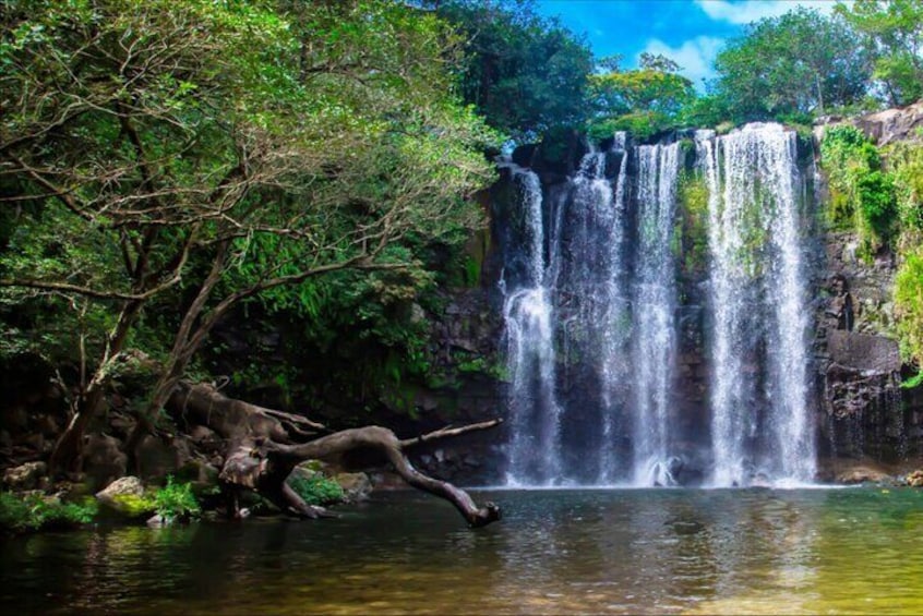 Rainforest and Waterfall Tour with Chocolate and Coffee 