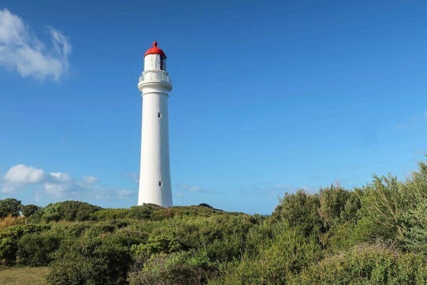 Explore the Great Ocean Road a Coastal Adventure