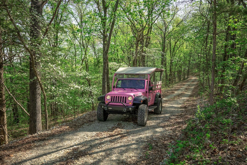 Sunset Nature Tour of the Ozarks