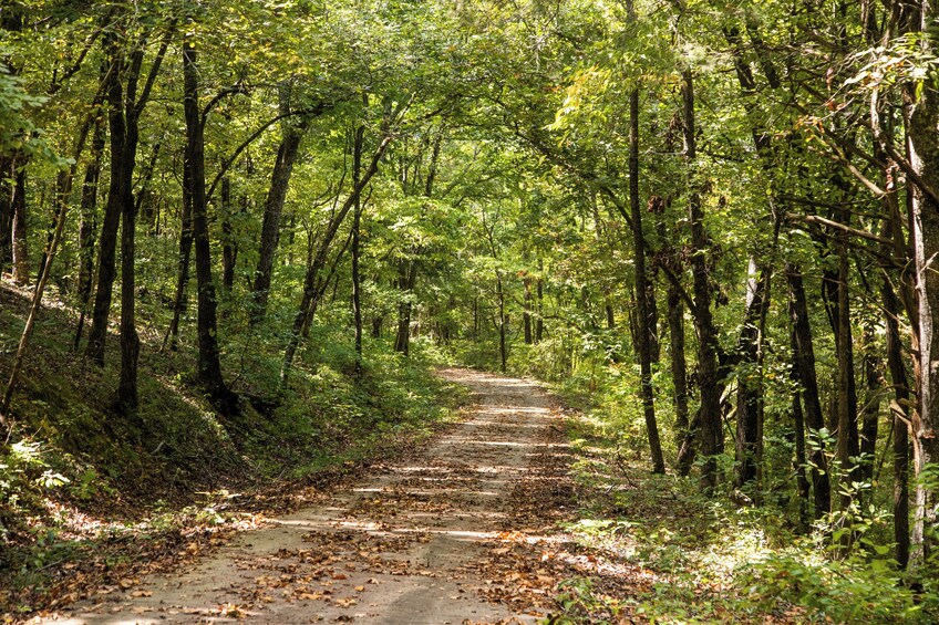 Ultimate Ozark Discovery Tour