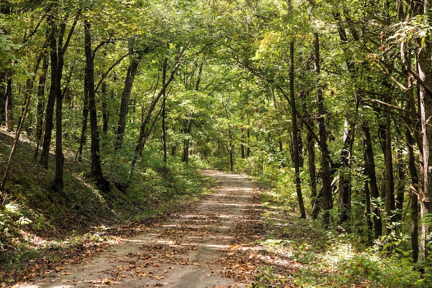 Ultimate Ozark Discovery Tour