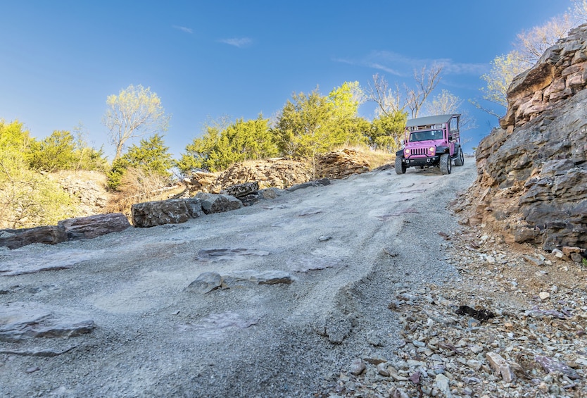 Ultimate Ozark Discovery Tour