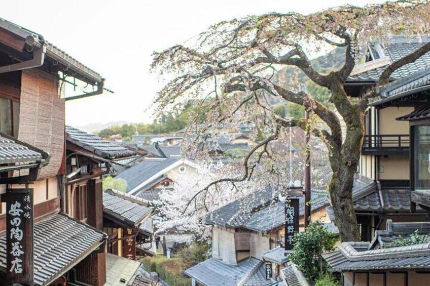 Kyoto Nara And Osaka Private Highlight English Guided Tour