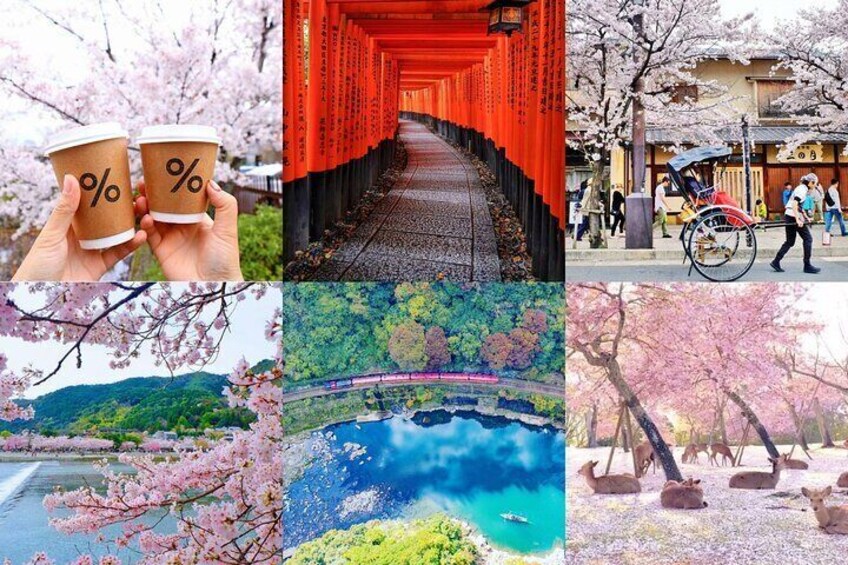 Kyoto Nara And Osaka Private Highlight English Guided Tour