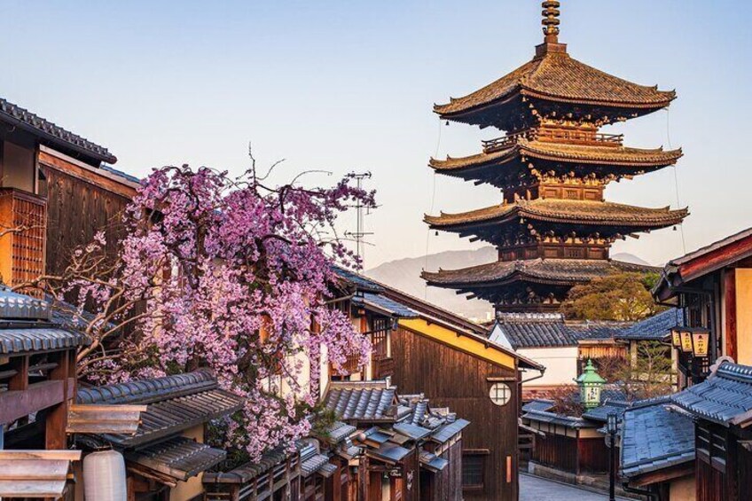 Kyoto Nara And Osaka Private Highlight English Guided Tour