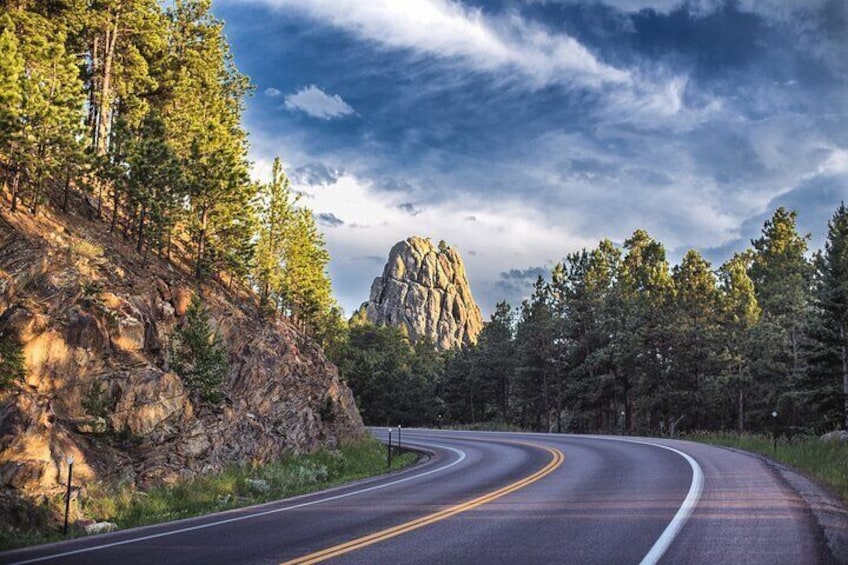 Black Hills National Forest