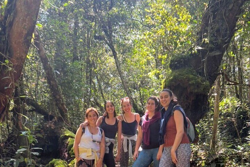 Hike in the Mossy Forest