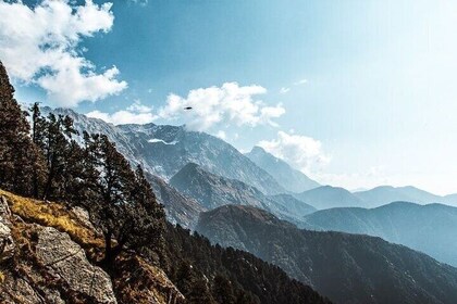 Excursión de un día a Triund