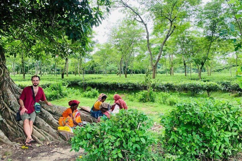 Amidst the lush greenery | Experience the charm of Sylhet’s tea gardens and connect with local life. A perfect blend of nature, culture, and community at Charubala Homestay.