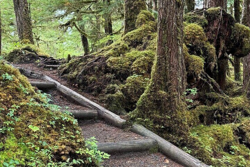 Beautiful Hike on Tongass National Forest's Lunch Creek Trail