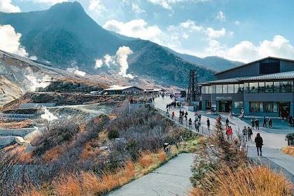 Hakone Private Day Trip with English Speaking Driver From Tokyo